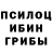 Галлюциногенные грибы прущие грибы Artimon Xxx