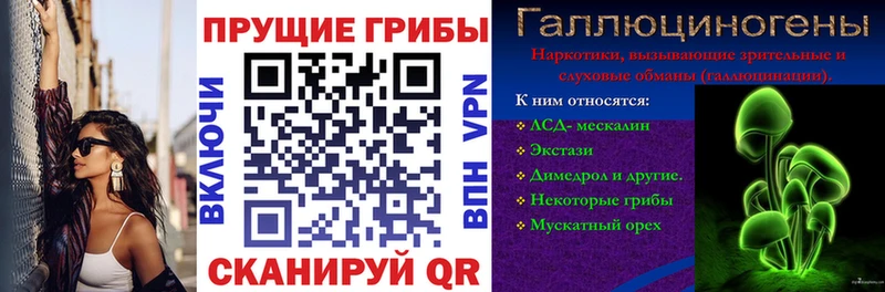 магазин продажи наркотиков  Новая Усмань  Псилоцибиновые грибы Psilocybe 